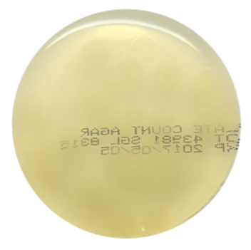 Plate Count Agar Contact Plates